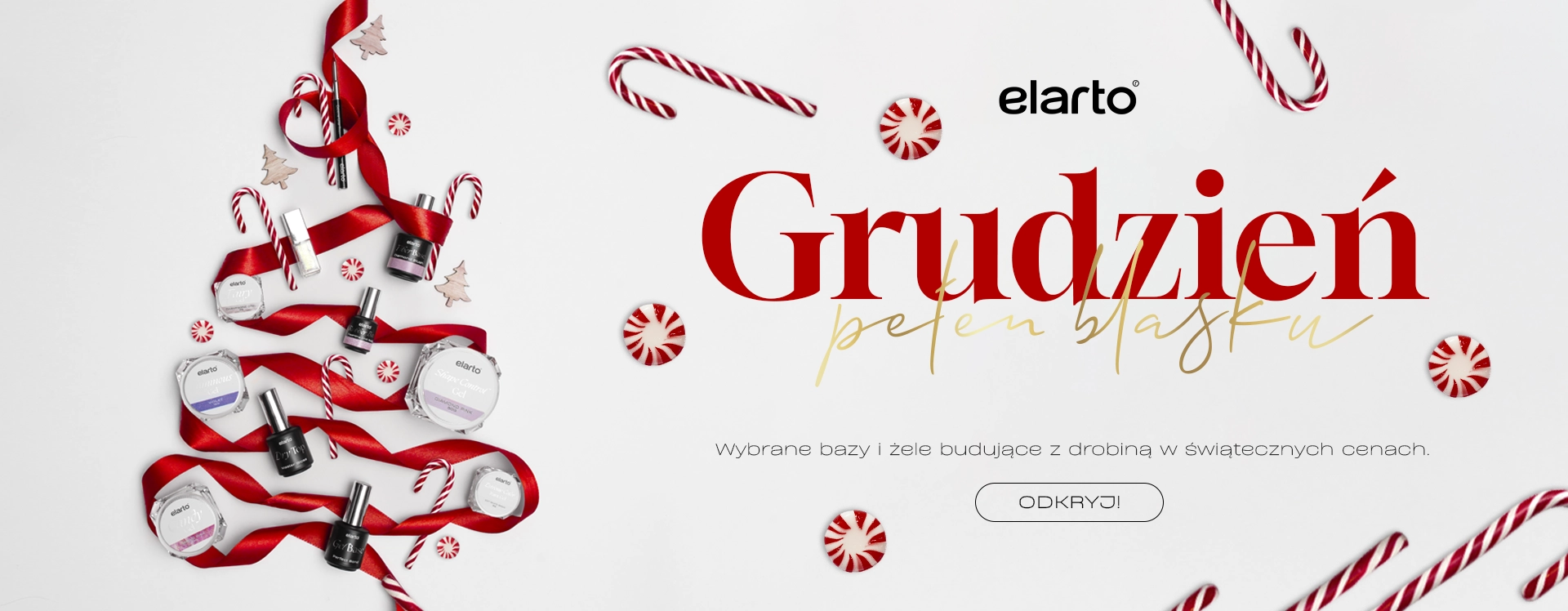 BANER - promocje grudniowe elarto